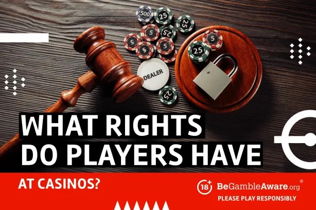 GemDisco Know Your Rights as a Player in Online Casino