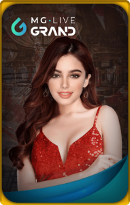 Online Casino Live 3